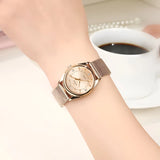 Women's Stainless Steel Mesh Watch