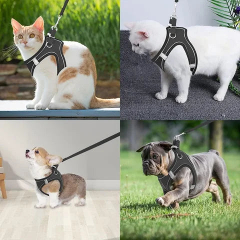 Adjustable Pet Harness with Reflective Stripe