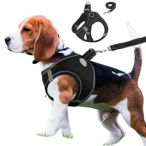 Adjustable Pet Harness with Reflective Stripe