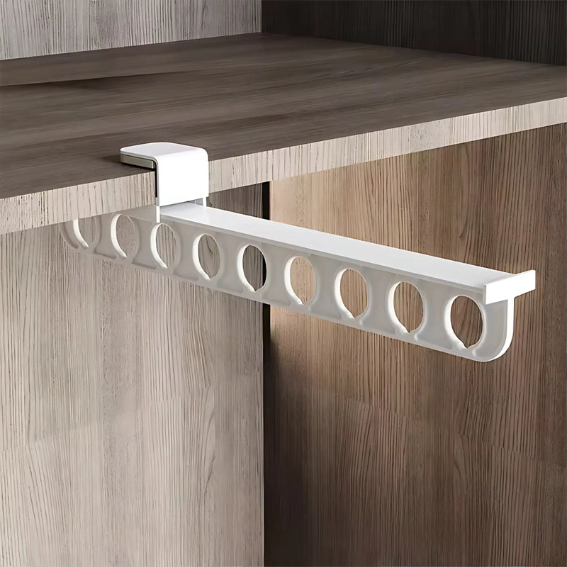 Pull-Out Closet Organizer