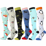 6 Pairs of Compression Socks For Comfort & Support