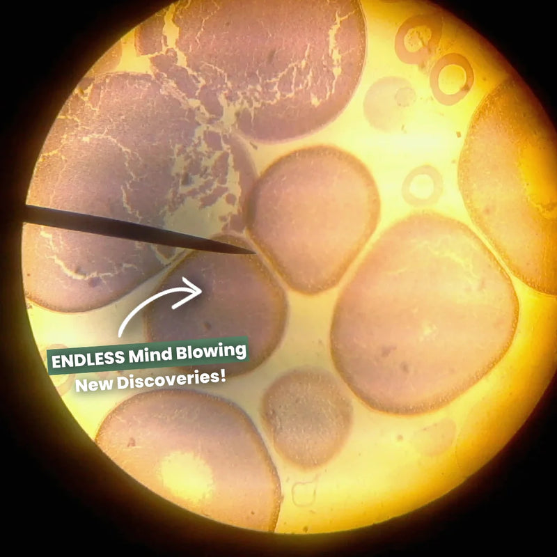 Portable Mini Kids Microscope