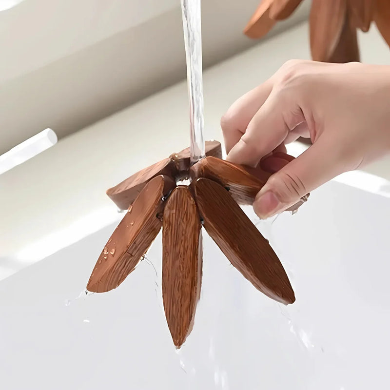 Natural Walnut Tree Coasters
