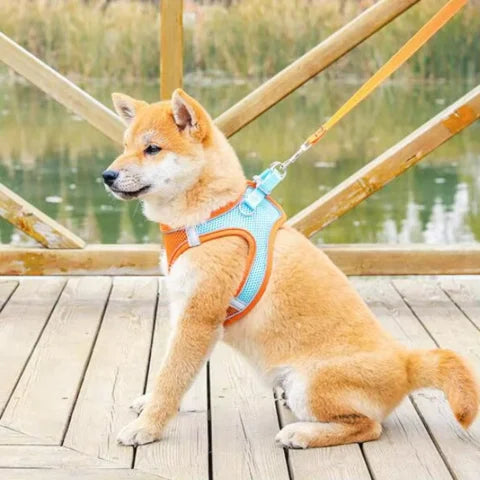 Adjustable Pet Harness with Reflective Stripe