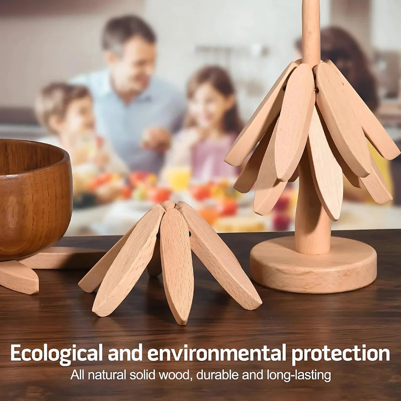Natural Walnut Tree Coasters