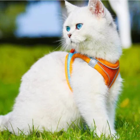 Adjustable Pet Harness with Reflective Stripe