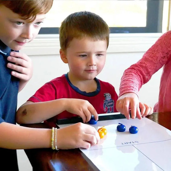 Table Top Curling Game (Family game)